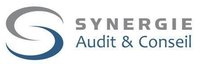 SYNERGIES AUDIT & CONSEILS