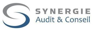 SYNERGIES AUDIT & CONSEILS